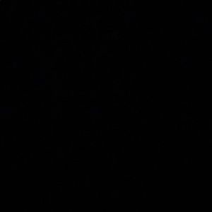 Meet your Posher, Chrissy